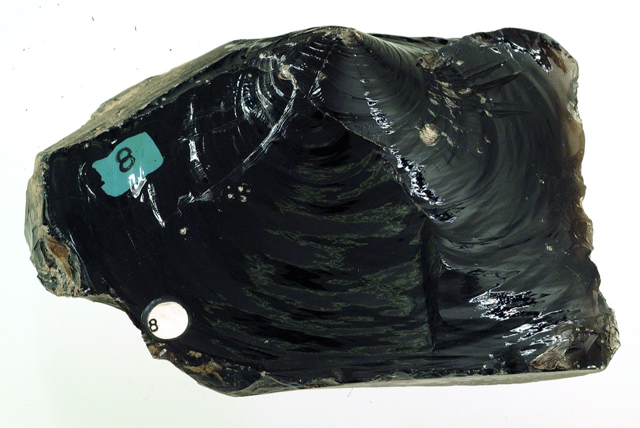 A glossy, near-black obsidian rock specimen with a museum catalogue label, showing its glass-like conchoidal fracture.