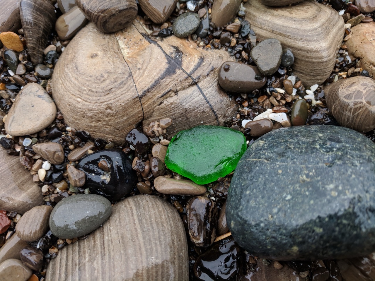 A piece of vivid green sea glass resting among wet beach pebbles.