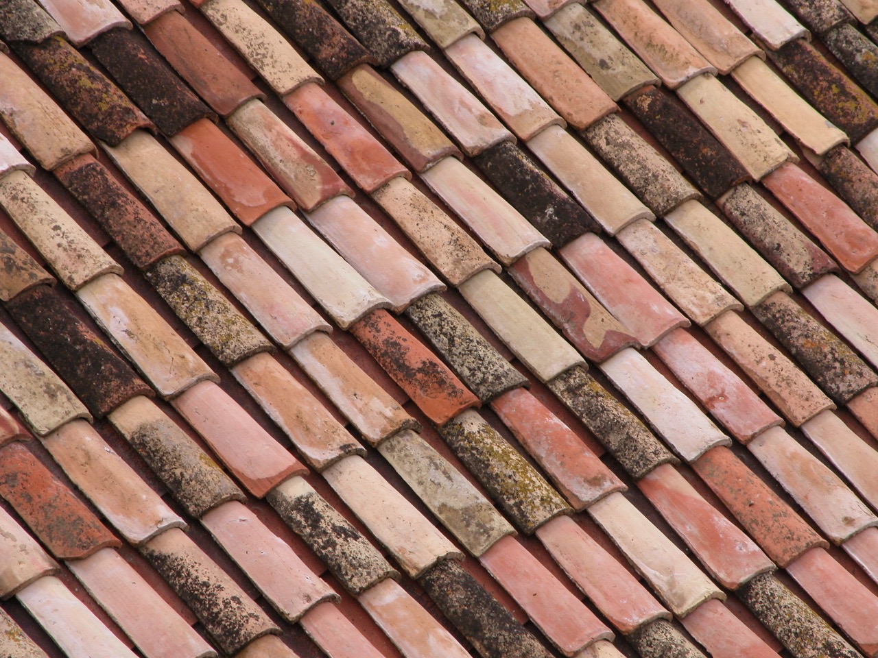 Rows of curved terracotta roof tiles in varied warm orange-brown tones, some patched with lichen.