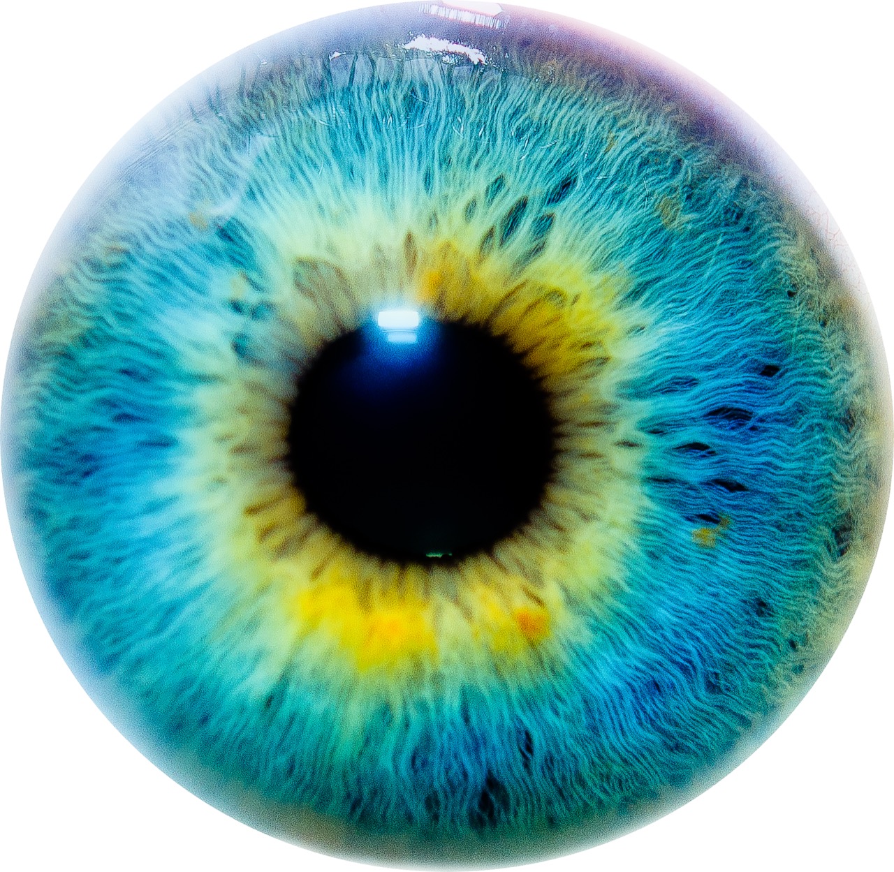 Extreme macro close-up of a human iris showing radiating blue-teal and yellow-green colouring around a dark pupil.