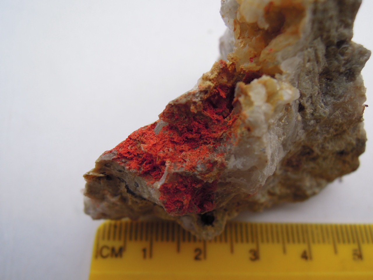 A close-up of bright red cinnabar mineral crystals embedded in grey host rock, with a ruler for scale.