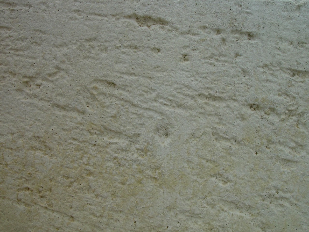 Close-up of sawn limestone showing an even, fine-textured warm-grey surface.