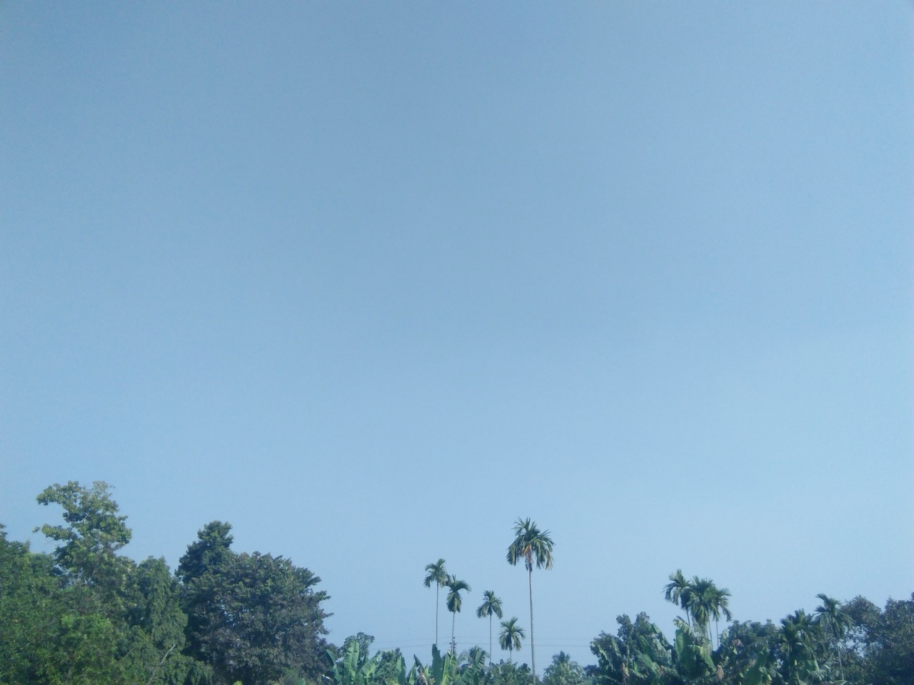 A clear blue sky fading paler near the horizon, with palm and tree silhouettes below.